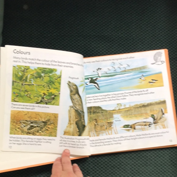 The Usborne Complete Book of Nature - Picture 13 of 15